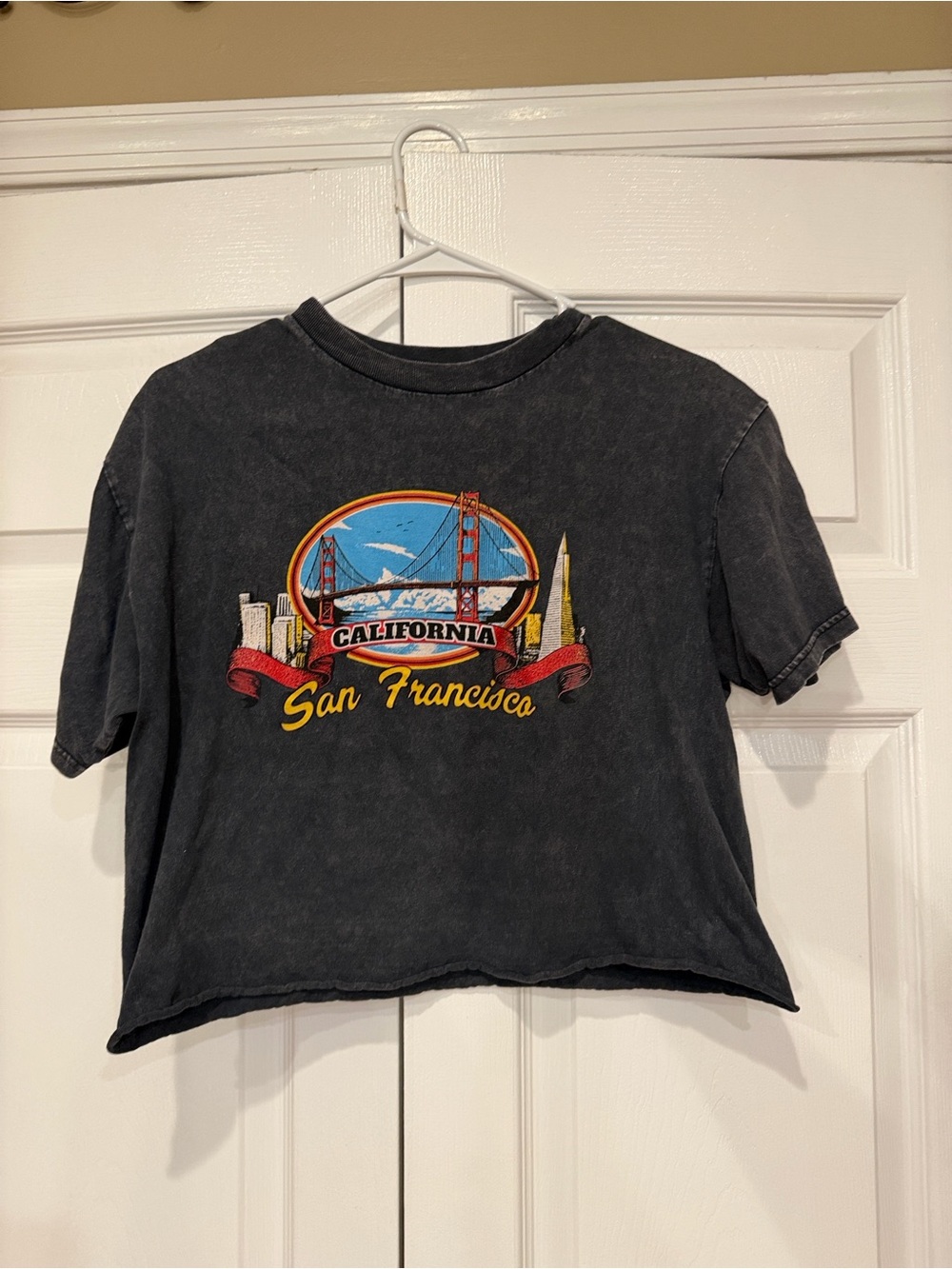 Pacsun cropped tee